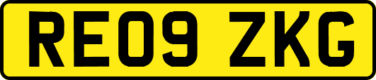 RE09ZKG