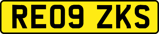 RE09ZKS