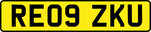 RE09ZKU