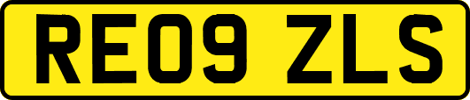 RE09ZLS