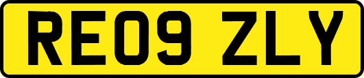 RE09ZLY