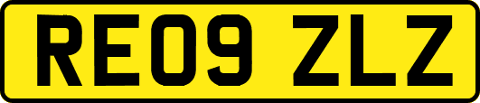 RE09ZLZ