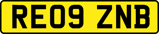 RE09ZNB