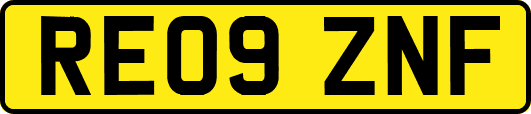 RE09ZNF