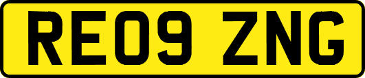 RE09ZNG