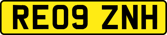 RE09ZNH