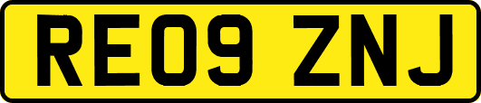 RE09ZNJ