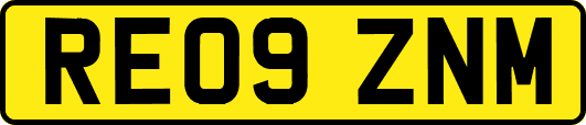RE09ZNM