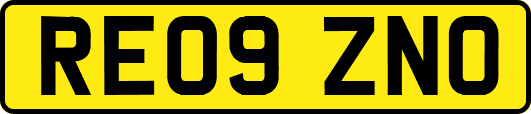RE09ZNO