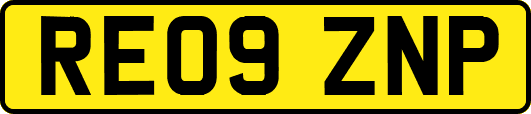 RE09ZNP