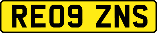 RE09ZNS