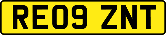 RE09ZNT
