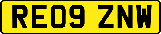 RE09ZNW