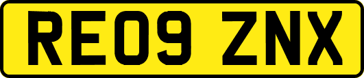 RE09ZNX