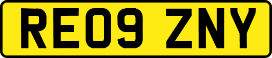 RE09ZNY
