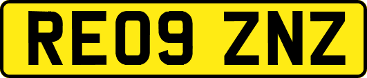 RE09ZNZ