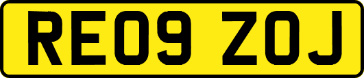 RE09ZOJ