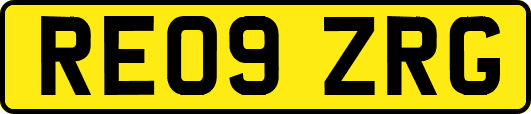 RE09ZRG