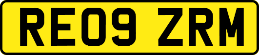 RE09ZRM