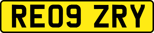 RE09ZRY