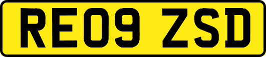 RE09ZSD