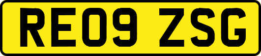 RE09ZSG