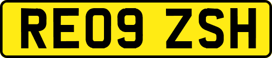 RE09ZSH