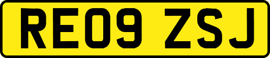 RE09ZSJ