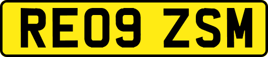 RE09ZSM