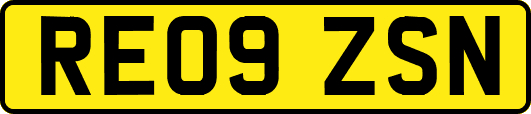RE09ZSN