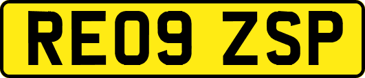 RE09ZSP