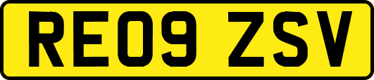 RE09ZSV
