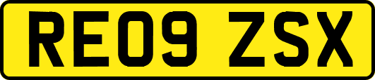 RE09ZSX