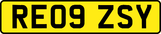 RE09ZSY