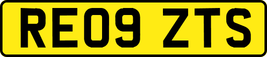 RE09ZTS