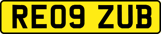 RE09ZUB