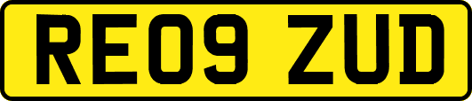 RE09ZUD
