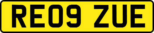 RE09ZUE