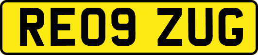RE09ZUG