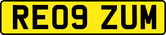 RE09ZUM