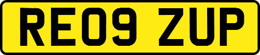 RE09ZUP