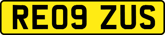 RE09ZUS