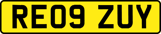 RE09ZUY
