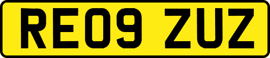 RE09ZUZ