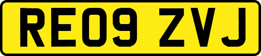 RE09ZVJ