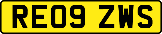 RE09ZWS