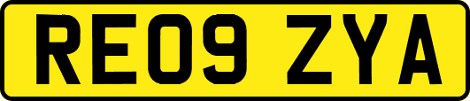 RE09ZYA