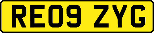 RE09ZYG