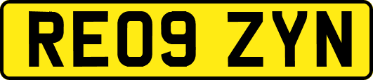 RE09ZYN