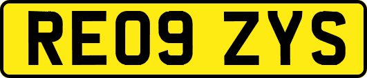 RE09ZYS